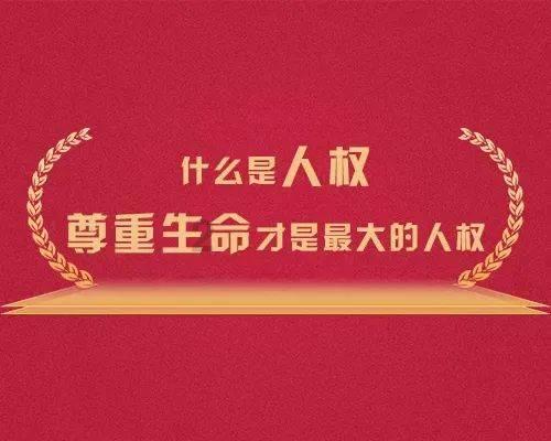 重生之星途璀璨