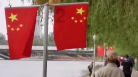袋鼠兄弟2