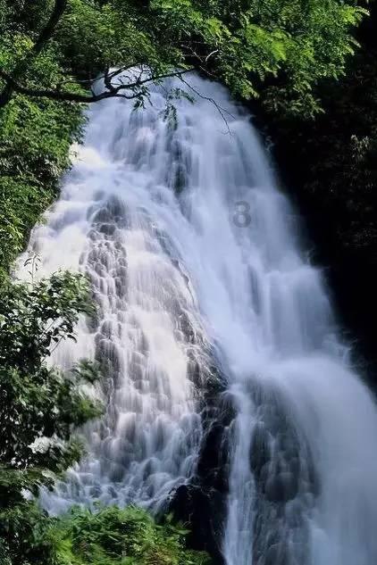 翻转吧，苹果虫