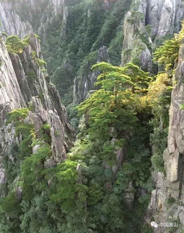中学生拒绝去学校，是“厌学”还是“恐人”？