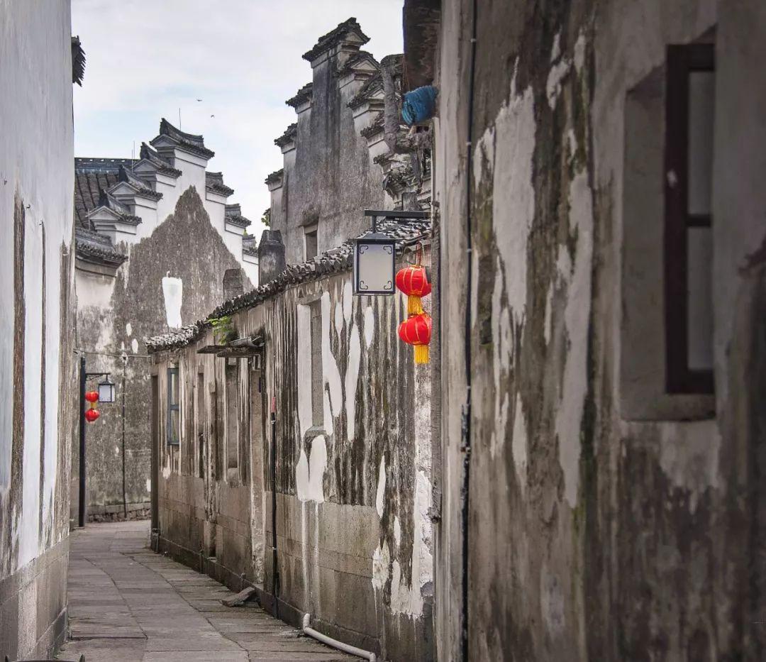 逃出林中村