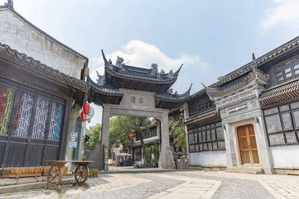 救援受困的小野猫